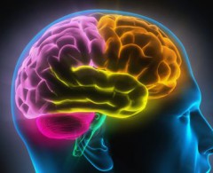 epilepsie