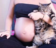 toxoplasmose-grossesse